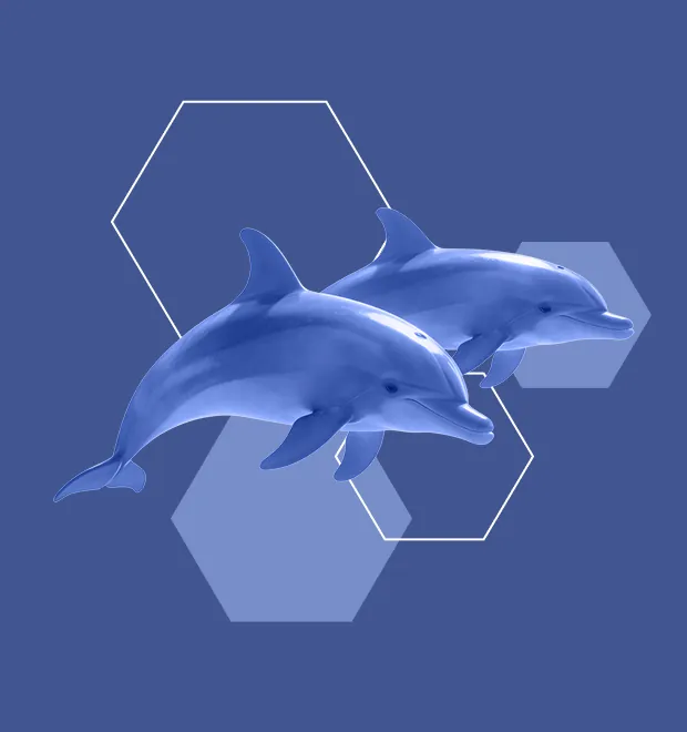 产品视觉